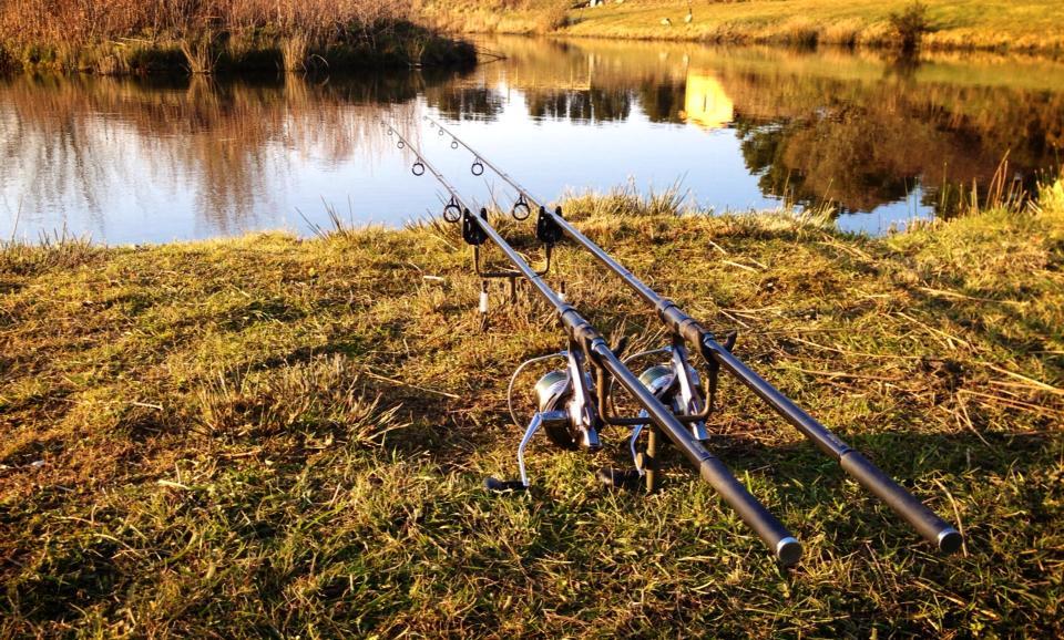 GARDNER - 562280102009871953883011011980902n.jpg